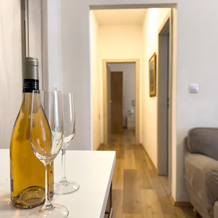 Lucic Old Town Apartment *